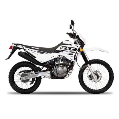 Rayos rueda delantera euromot gxt 200 LIQUIDACION - Imagen 2