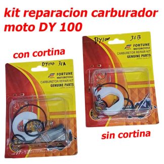 KIT Reparación Carburador moto DY 100 con o sin cortina completo Envios a todo Chile