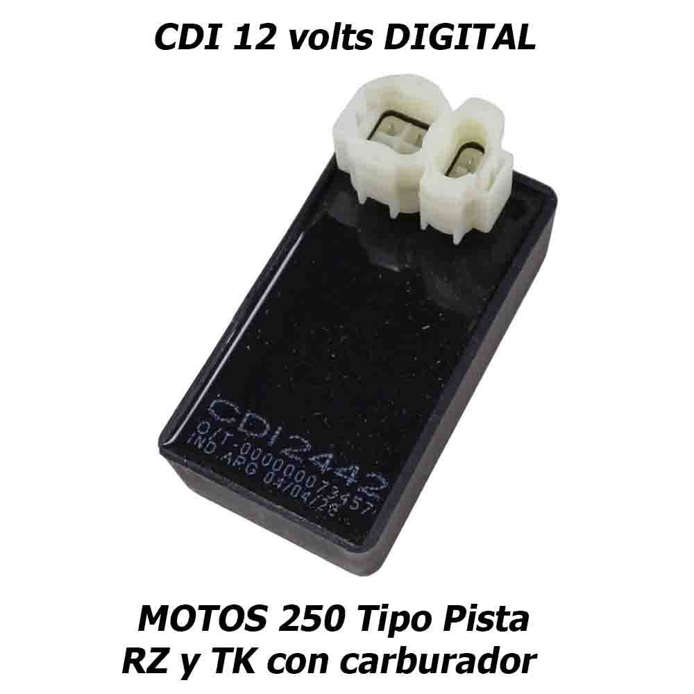 CDI Moto china tipo pista RZ TK 250 Pietcard 2442 12 volts digital